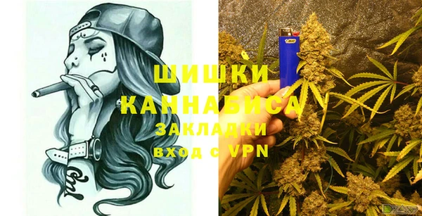 индика Карпинск