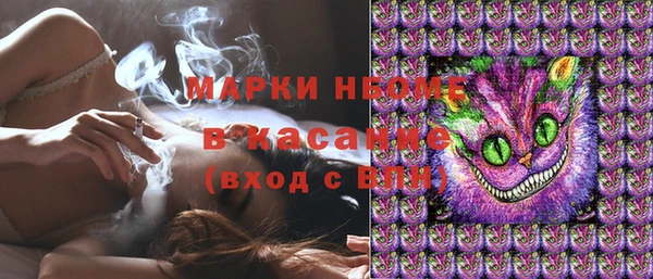 гидра Ленск