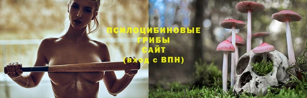 mdpv Алзамай