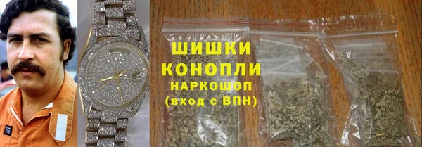 индика Карпинск