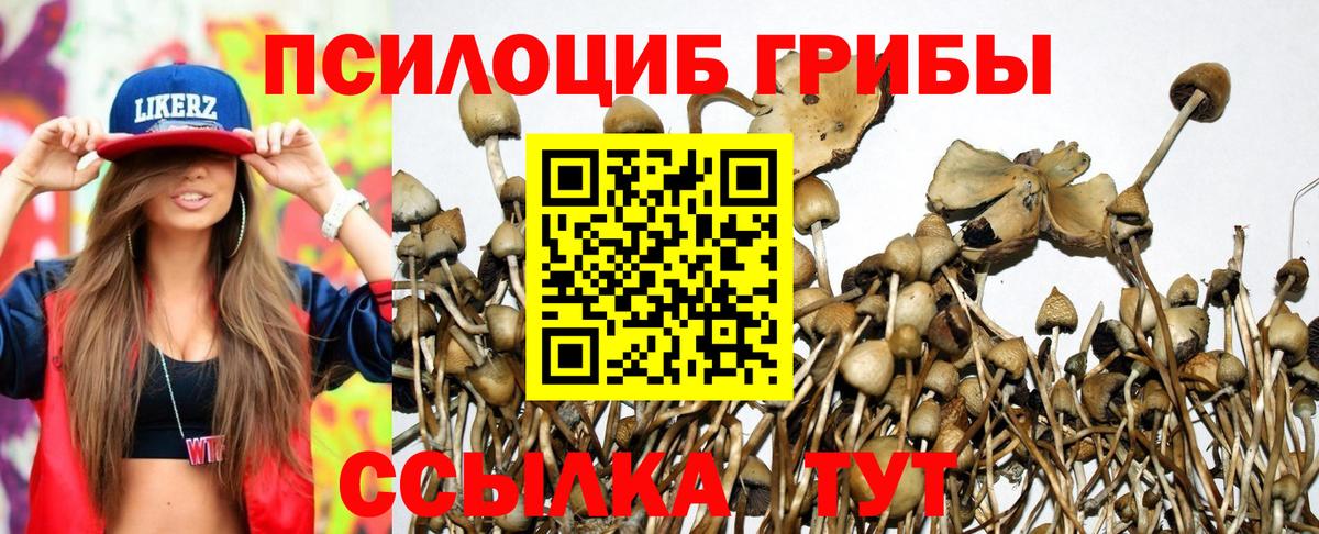 Лобня  Галлюциногенные грибы MAGIC MUSHROOMS  Вход с VPN 