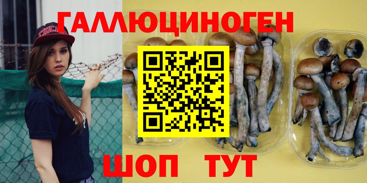 МЕФ Лобня