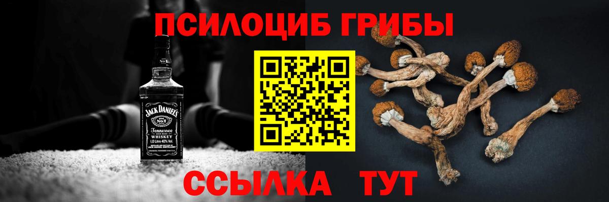Галлюциногенные грибы Magic Shrooms  Лобня  Псилоцибиновые грибы ЛСД 